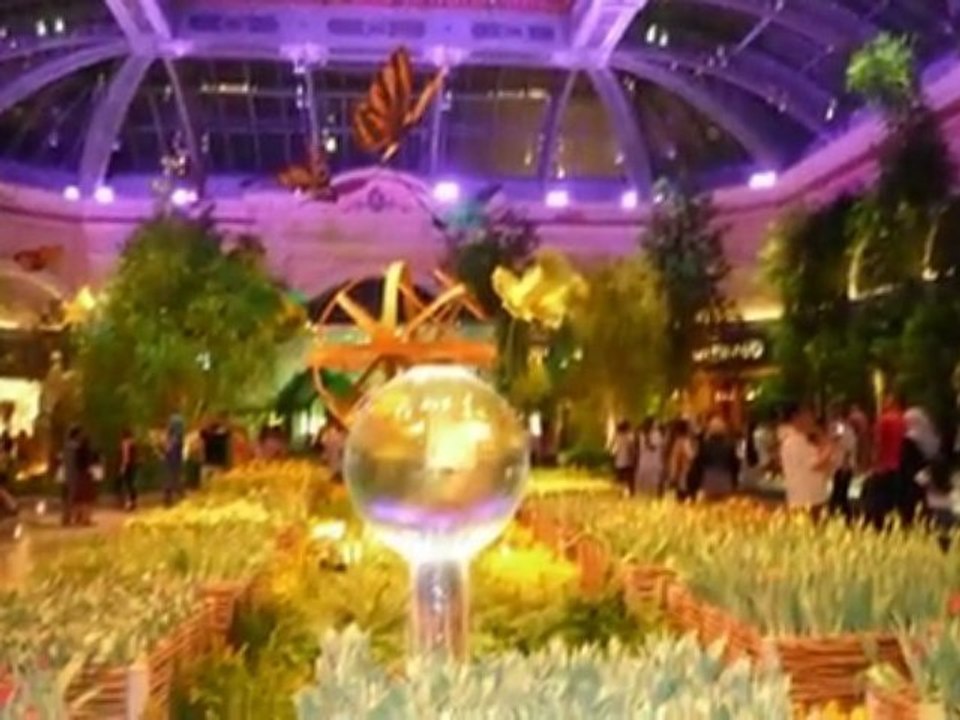 Las Vegas vacation