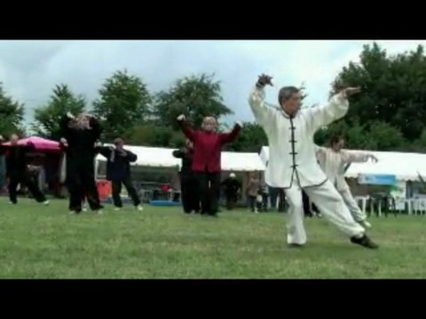Taï chi chuan fête au pays 2009 partie 2