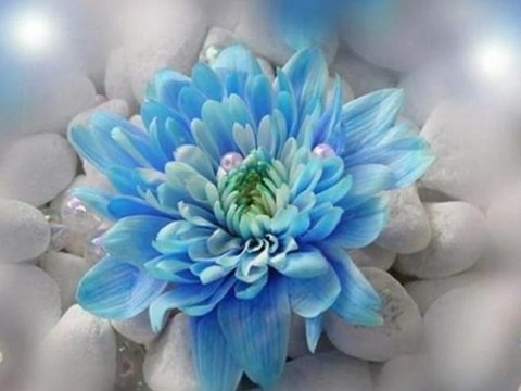 Zyczenia Imieninowe dla Wszystkich Andrzejkow