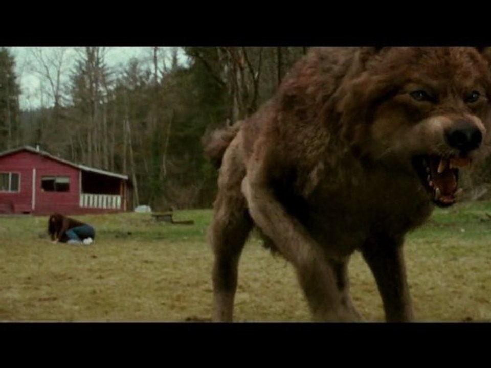 TWILIGHT - CHAPITRE 2 : Extrait Jacob sauve Bella