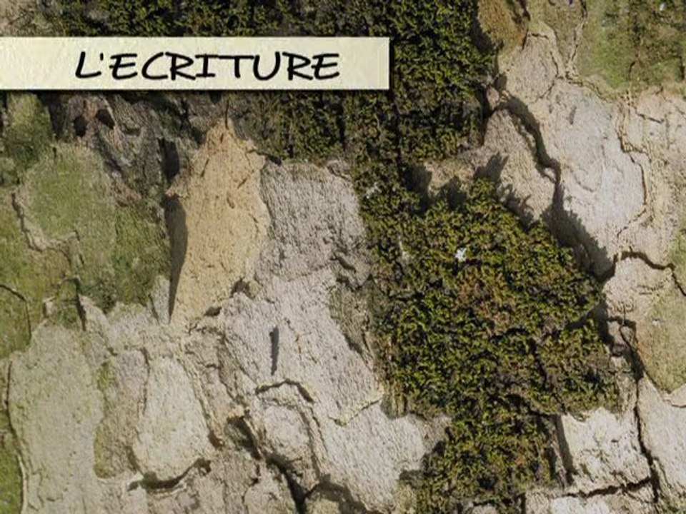 Michel Butor, rencontre - L' inspiration