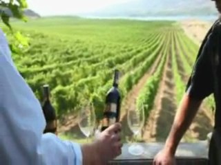 James Cluer at Jackson Triggs Winery, Okanagan, BC