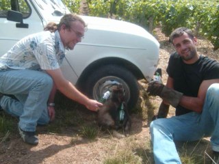 Chouilles 2008