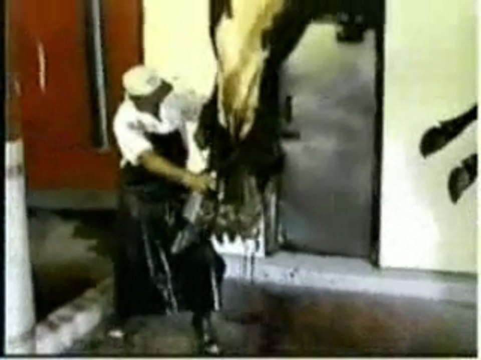 4 Dim. - Coscienza Satanica ( David Icke )