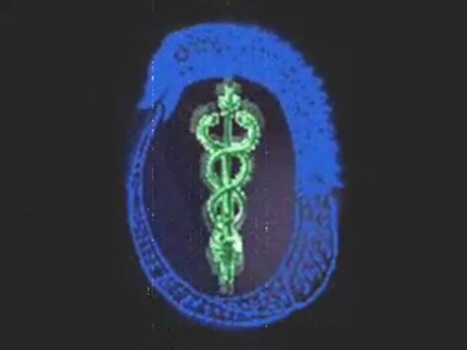 Adam Kadmon - virus Ah1n1