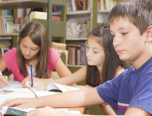 True Professionals - Tales from a Teacher's Heart