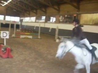 Concour 08.11.09 Equitation Obernai