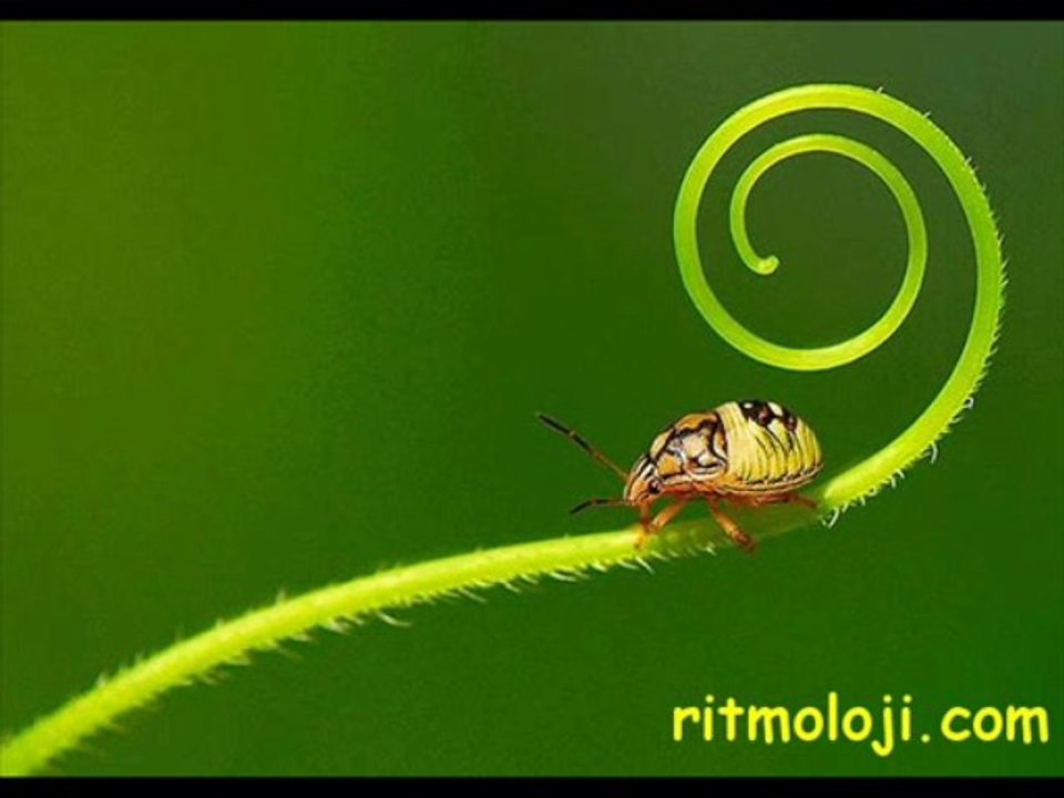 ünlü iki dünya two worlds