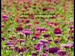 Video 73- The Secret de Rhonda Byrne