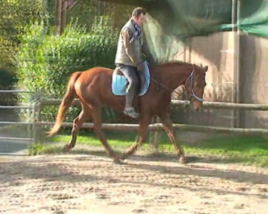 SPEED D'ECUBLEI