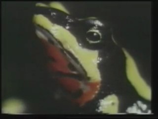 Yaratılış Gerçeği 4/4 www.yaratilis.com