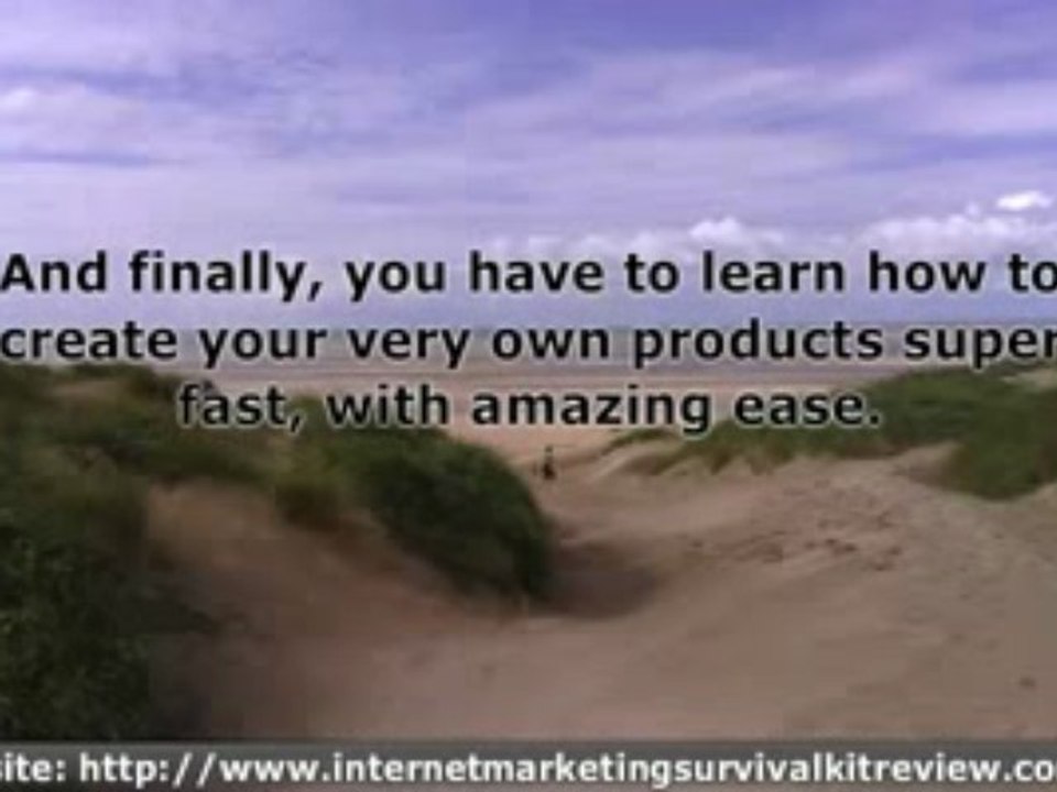 Internet Marketing Survival Guide