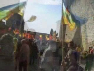 Solidarité Tamazgha-Occitanie