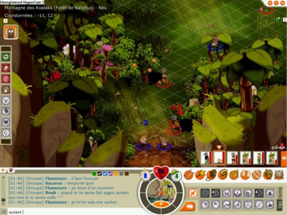 Sacri eau lvl 100 Dofus Goultard