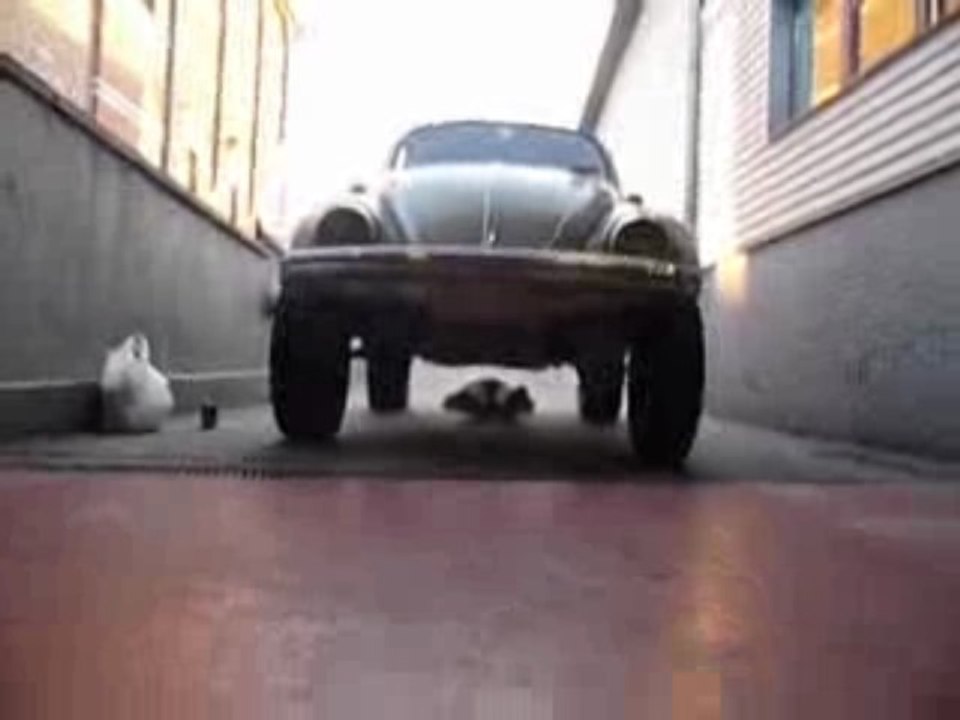 Se faire rouler dessus par une vw cox off road