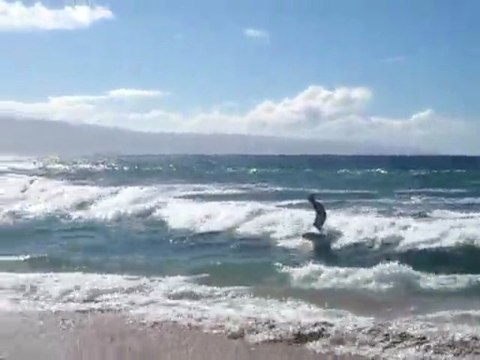 Surfing in Maui Hawaii