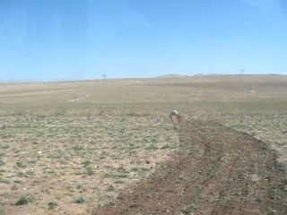 Taş Üstünde Sörf-5