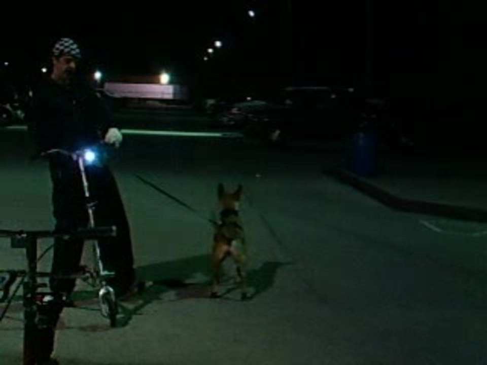 Trike with Woody Boneroni and Jimmy Checkeroni