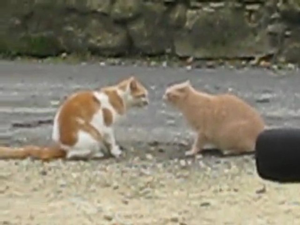 conversation