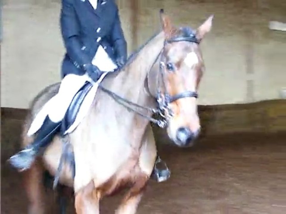 concours dressage ecurie d escazalouc