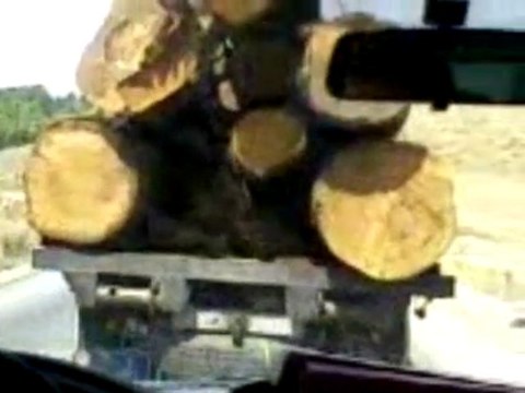 Route Azrou 2009 Maroc