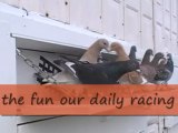 Pigeon Pals Daily Racing Club News122 Don't Blinky