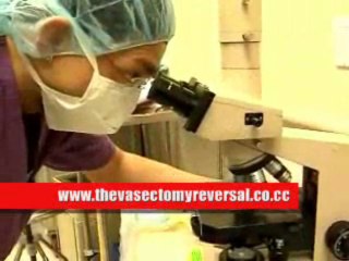 vasectomy reversal
