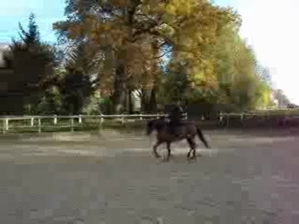 MOV00764 - Rameau Trot