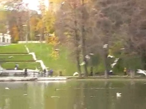 Alexandru Ioan Cuza Park - November 2009 cd2