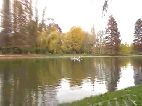 Alexandru Ioan Cuza Park - November 2009 cd3