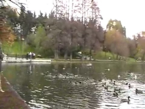 Alexandru Ioan Cuza Park - November 2009 cd4