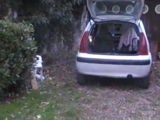 jeu idiot 1