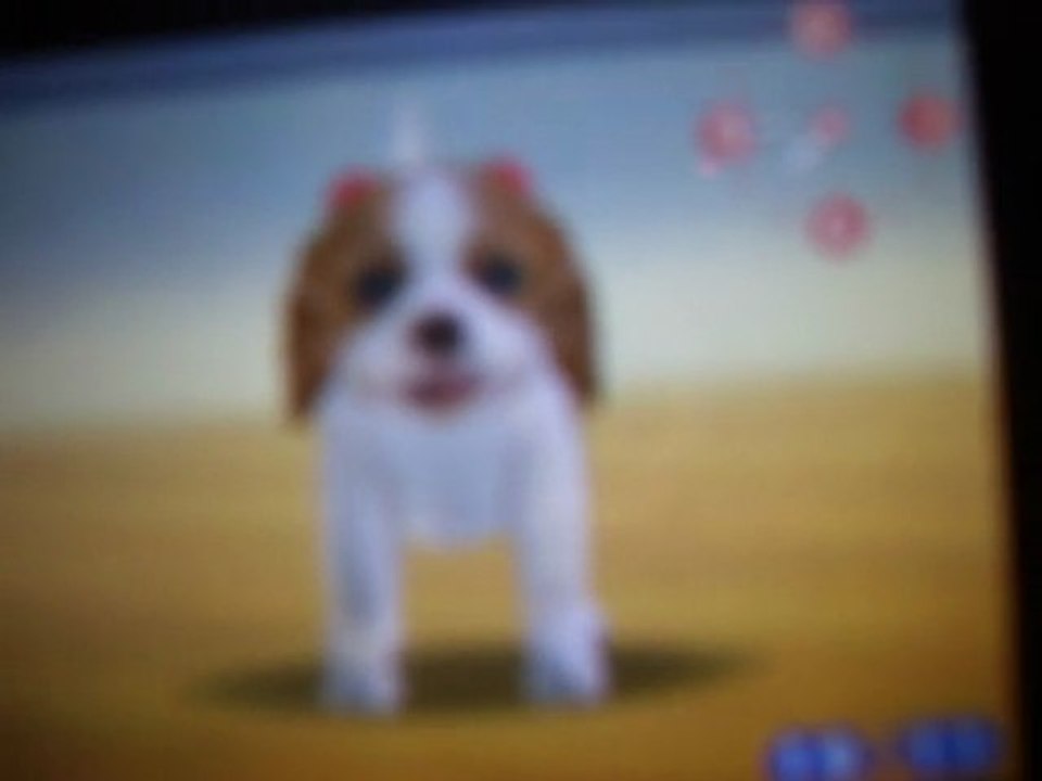 Vidéo OBR nintendogs