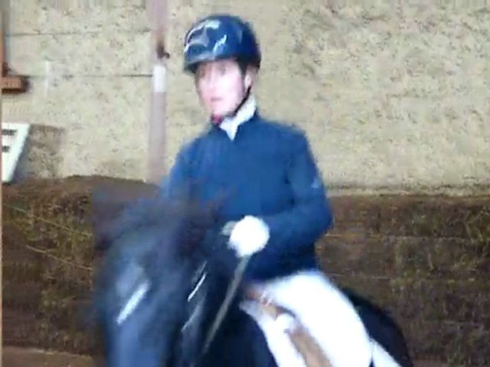 concours dressage ecurie d escazalou