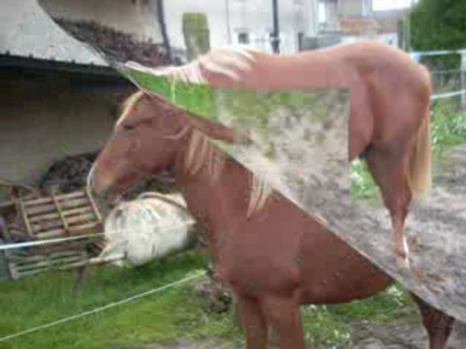 ulis se defoule au paddock!!