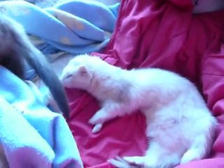 shyva dans un élan de maternité envers son frère