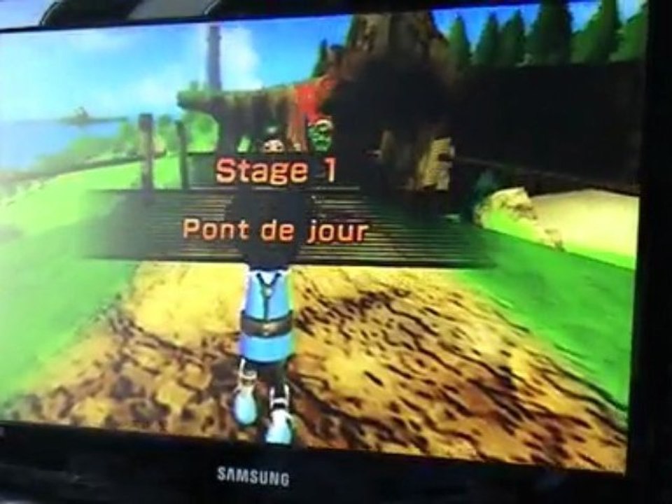 WII Sport Resort Sabre - 01 Pont (35)