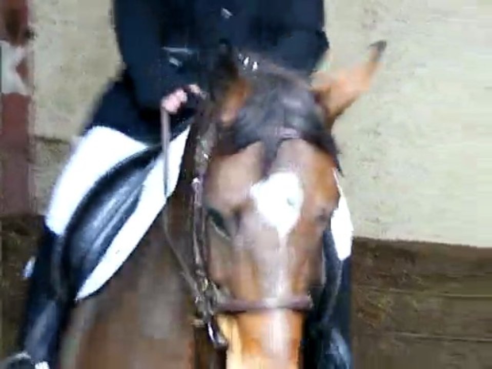 concours dressage ecurie d escazalou