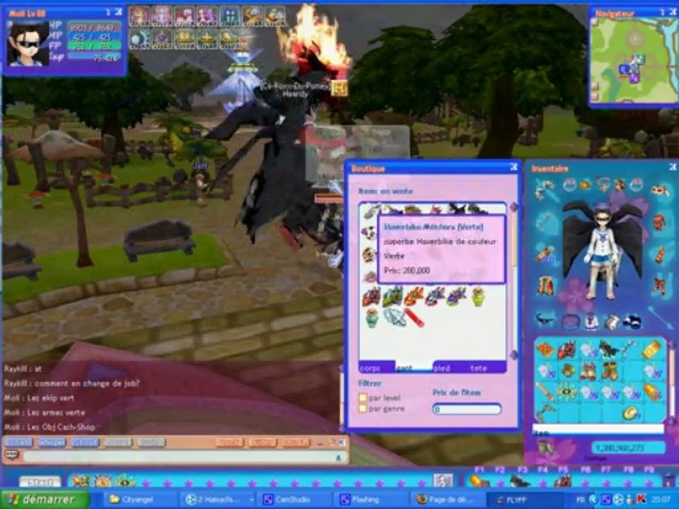 Serveur priver flyff