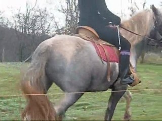 samedi 14 novembre 2009