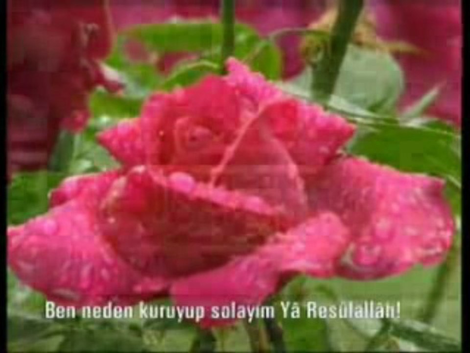 inleyen bir nayim-Dursun Ali Erzincanli