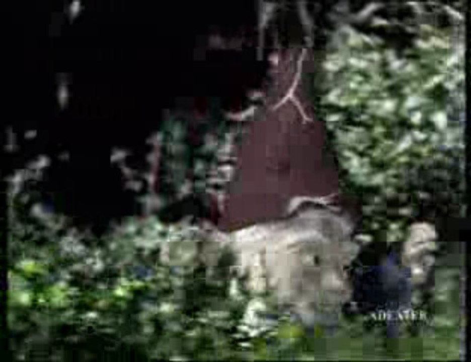 Spot publicitaire 1998 - Chewing gum Hollywood