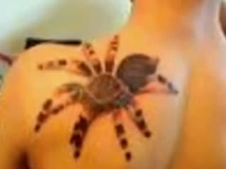 Spider Tattoo Designs Spider Web Tattoo Design