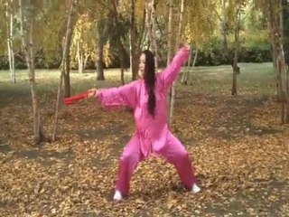 Kung Fu Fan