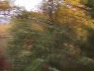 suite de la balade du vendrdi 13