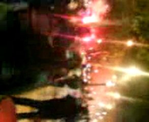 algerie 14 novembre lgc sur les champs