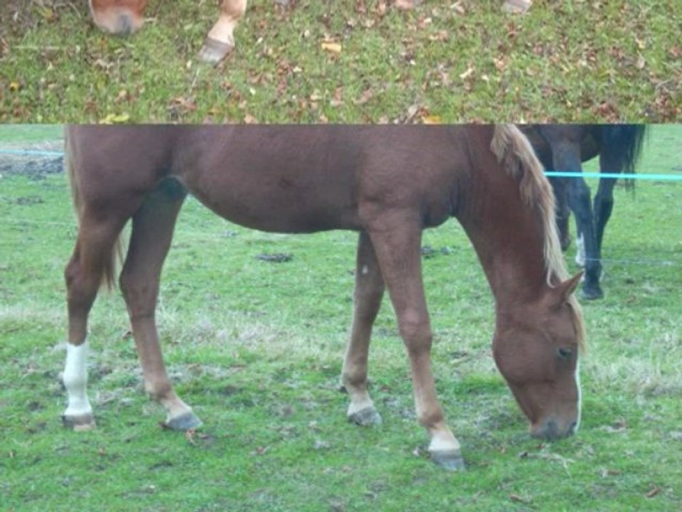 ulis de la naissance a aujourdhui!!