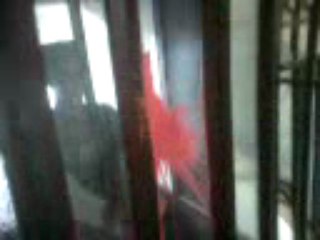 dalil et zaki ''les remi gaillard algeriens'' assenceur