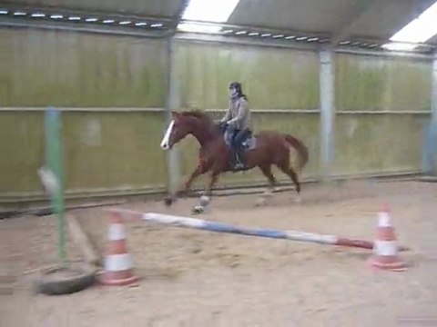 Séance de saut en liberté avec Parcos