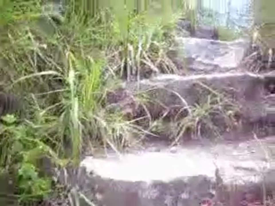 Aguas Calientes desde 2600 m